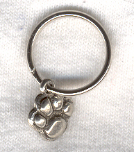 Small Paw Pet Charm